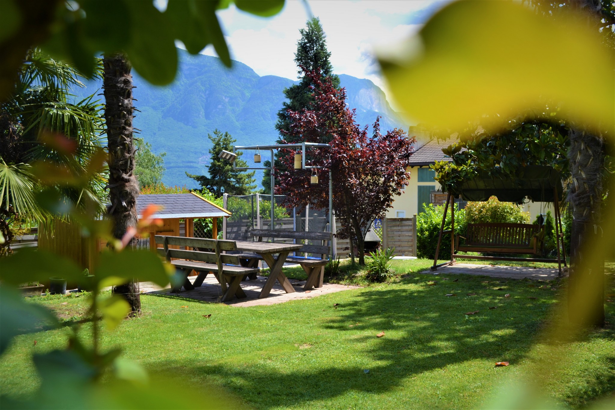 DSC_0147 (2)